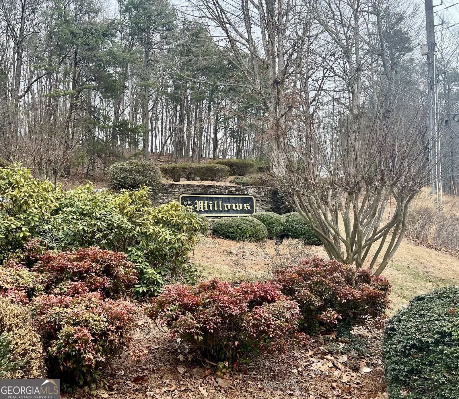 Property Photo:  0 Willows Drive  GA 30528 