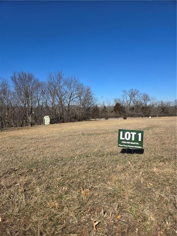 Property Photo:  1700 NE Bluff Street  MO 64086 