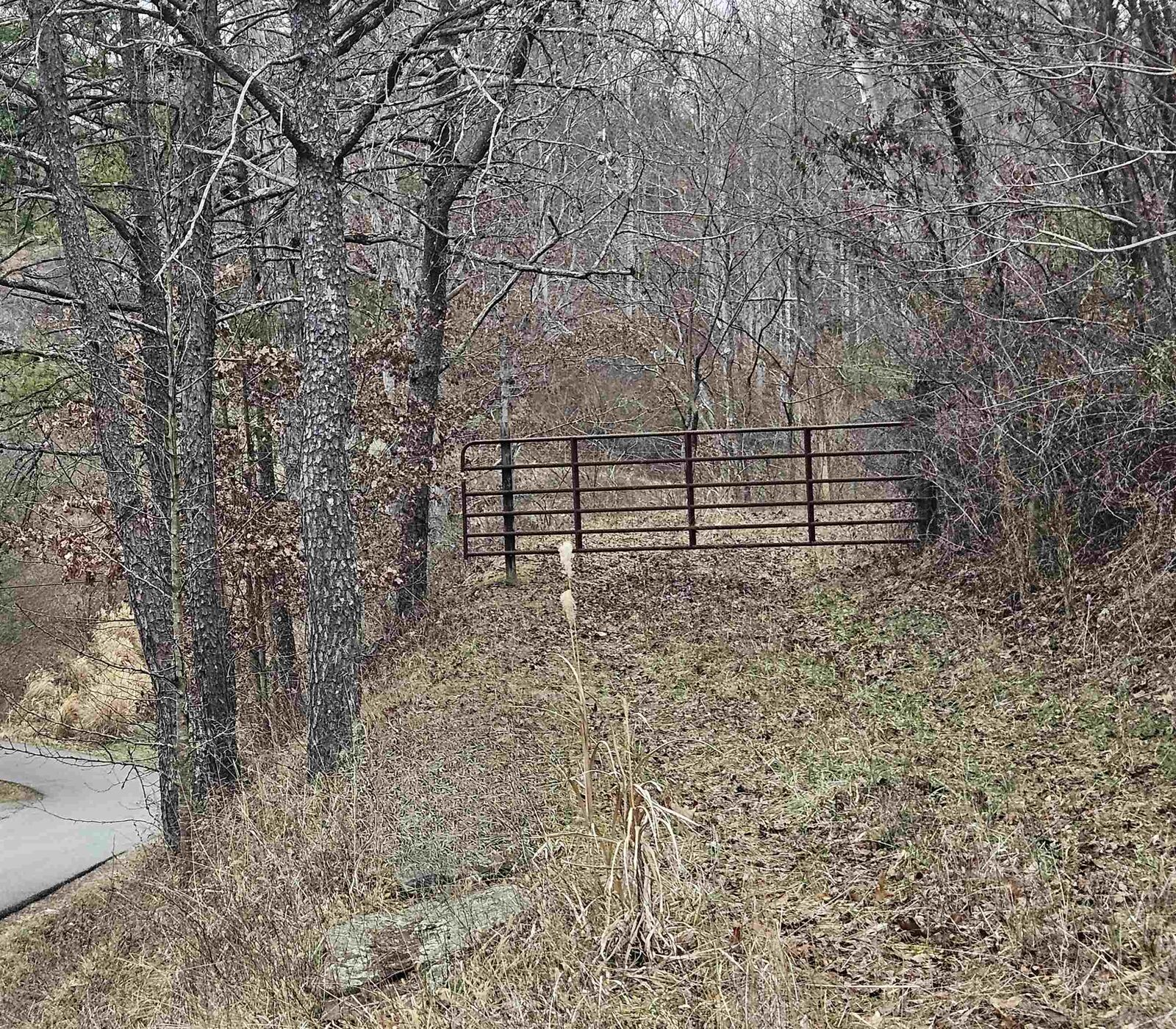 Property Photo:  00 McComas Branch Road  WV 25541 