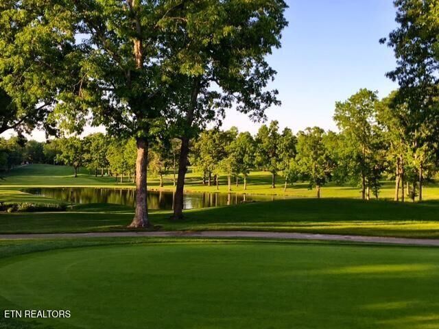 Property Photo:  24 Chipman Court  TN 38558 