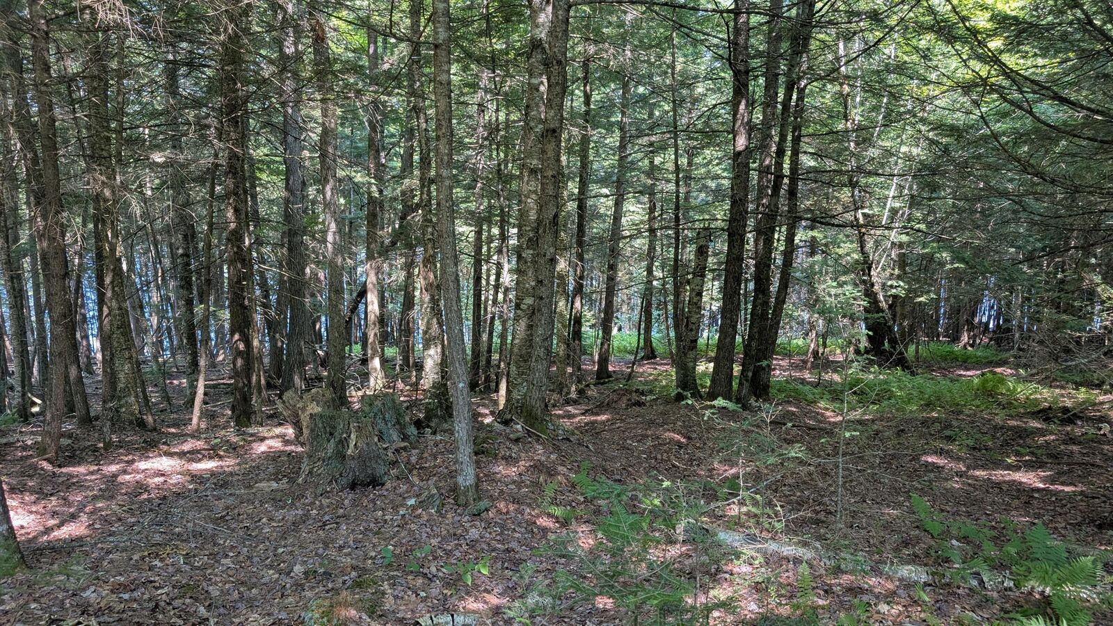 Property Photo:  Lot #8 Kolm Lane  ME 04939 