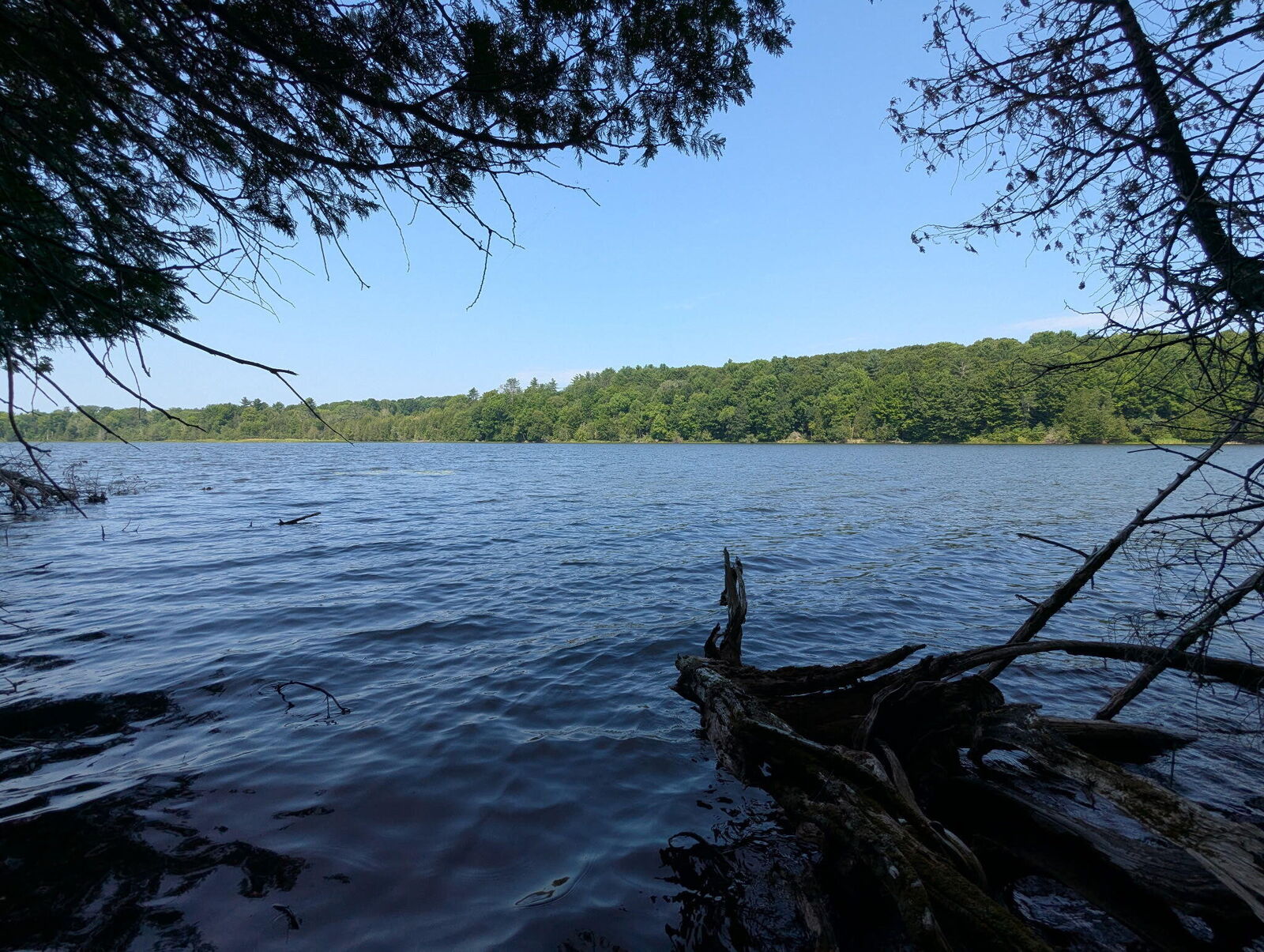 Property Photo: Lot #8 Kolm Road ME 04939