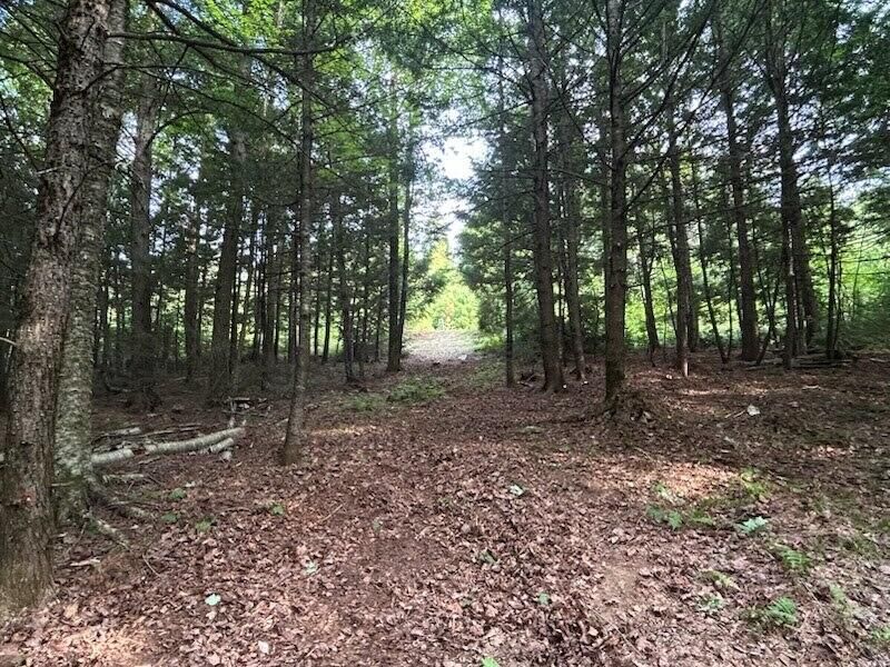 Property Photo:  Lot #8 Kolm Road  ME 04939 