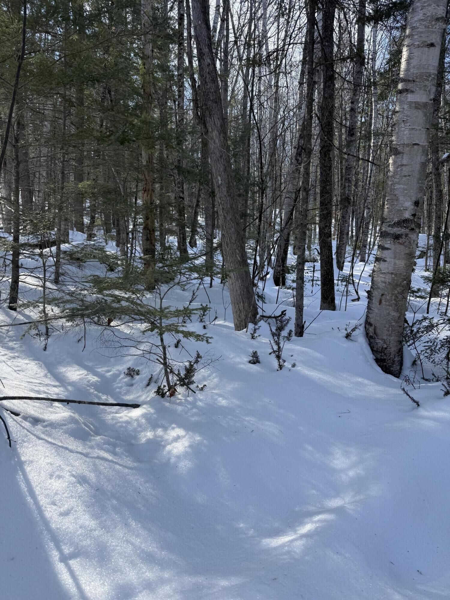 Property Photo: Tbd Great Moose Pond Drive ME 04943