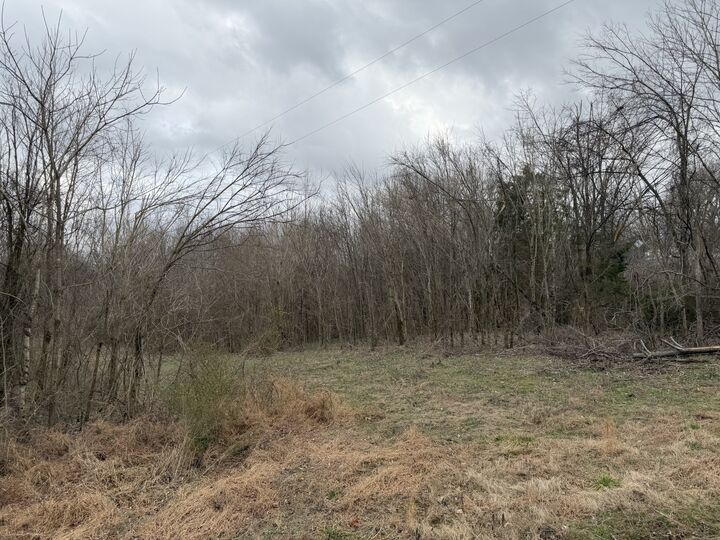Property Photo:  0 City Park Rd  TN 37186 