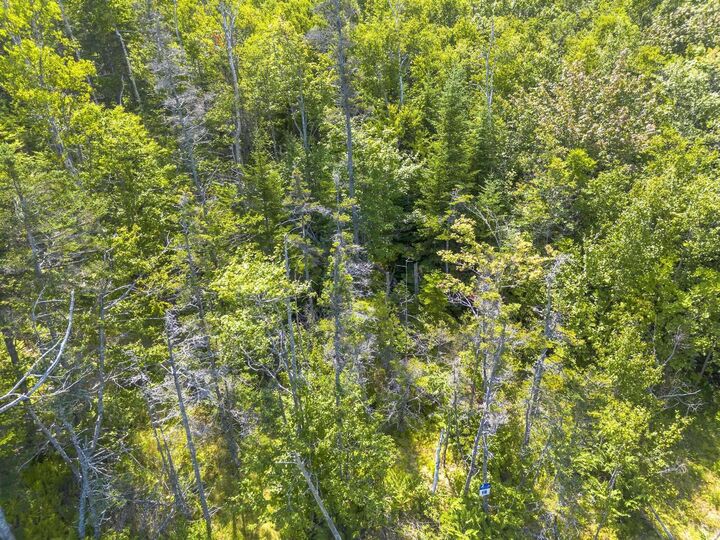 Property Photo:  Lot 19 Pelton Mountain Road  NS B0P 1J0 