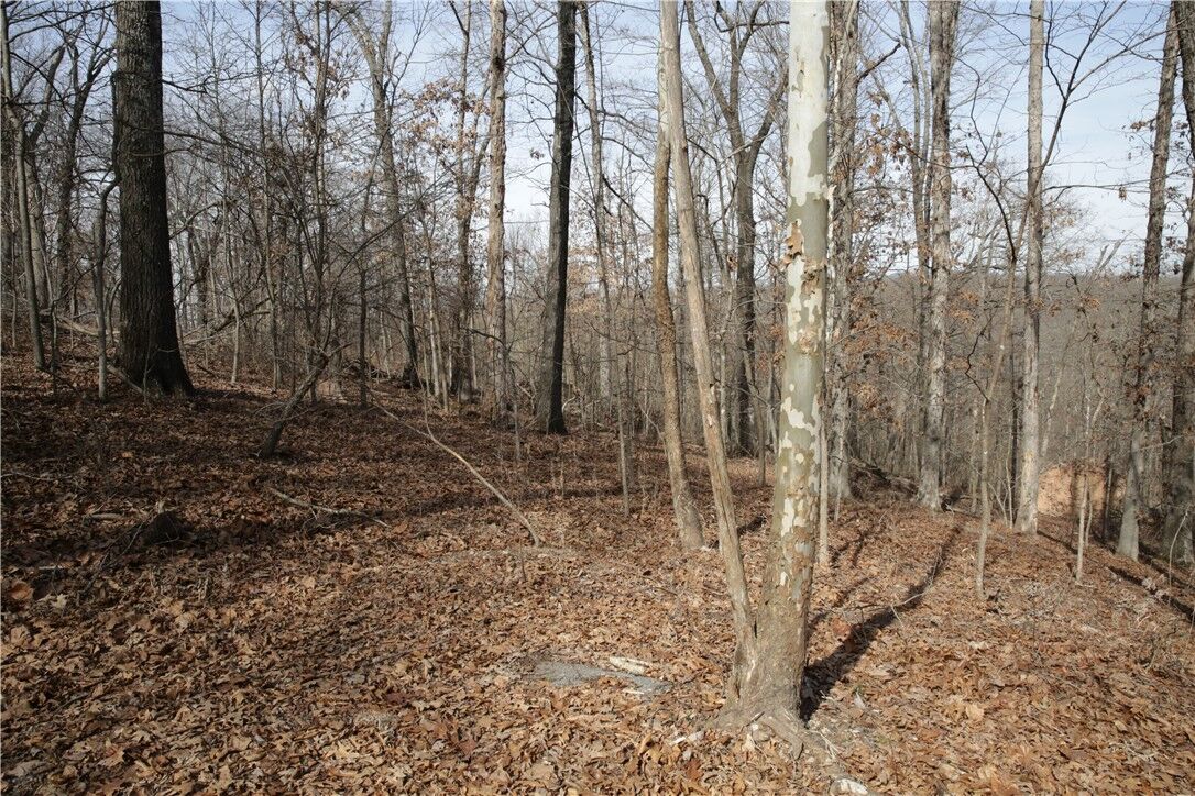 Property Photo:  Lot 11 Kirkpatrick Way  AR 72715 