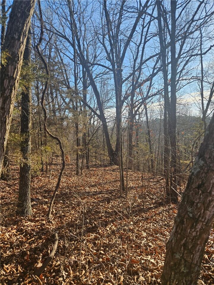 Property Photo:  Poley Trail  AR 72662 