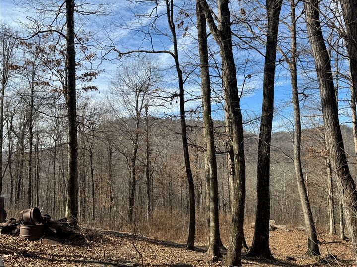 Property Photo: 1906 Nc 8863 AR 72641