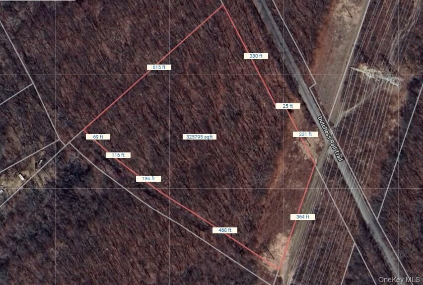 Property Photo:  Lot 289747 Rt-376  NY 12590 