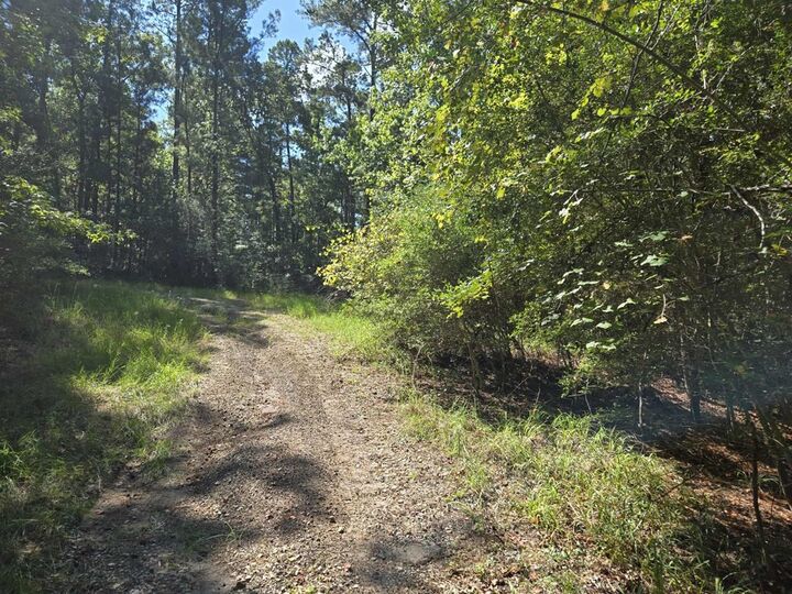 Property Photo:  R33490 Burrow Lane  TX 75931 