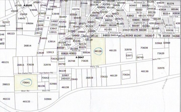 Property Photo:  L46126 Reily Village  TX 75939 