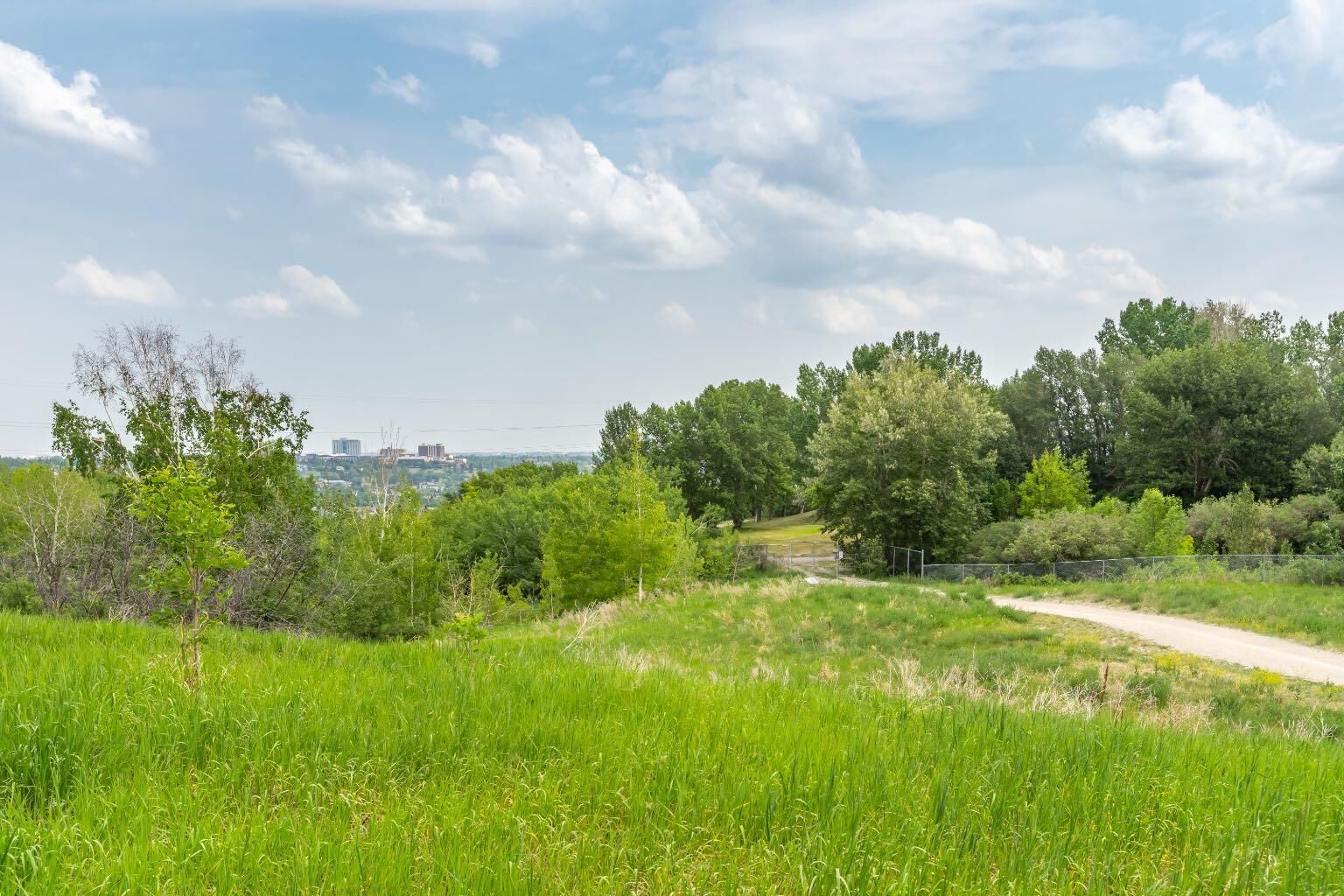 Property Photo: 528 Cedar Crescent SW 31 AB T3C 2Y8