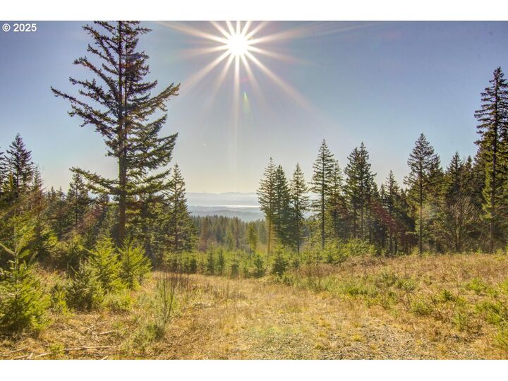 Property Photo: 29110 NE Hancock Rd WA 98607