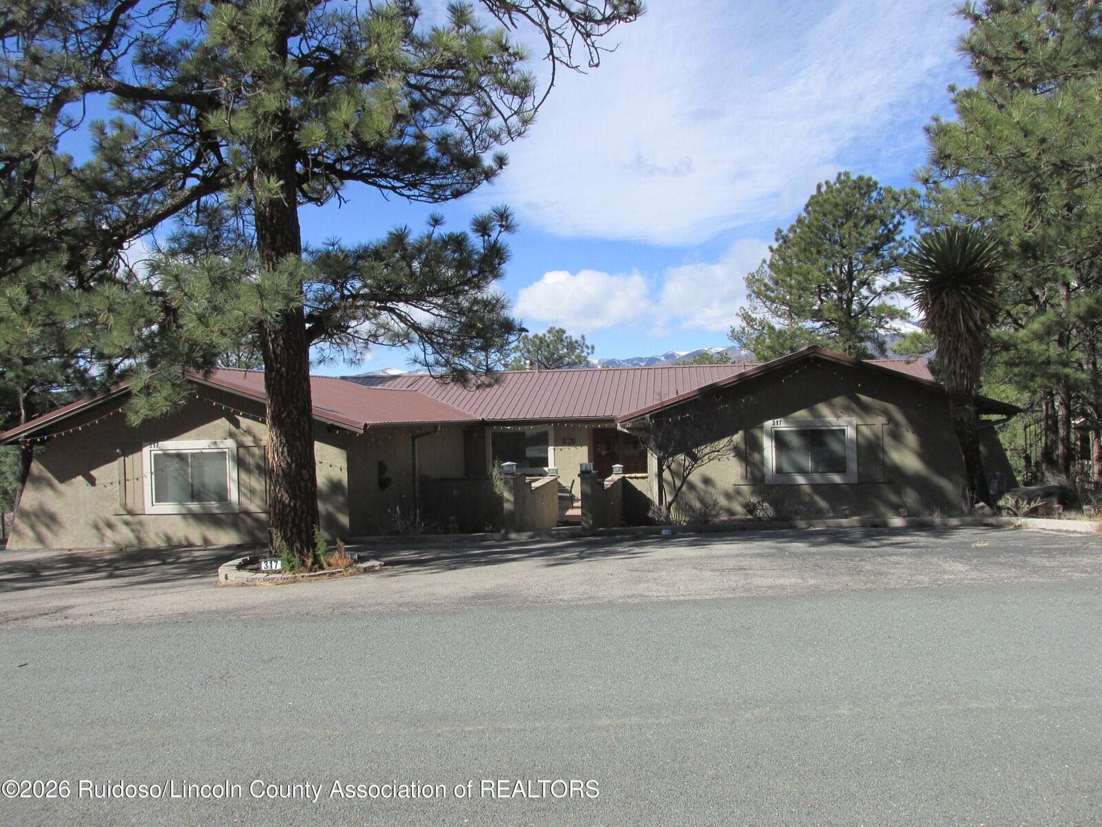Property Photo:  317 McBride Drive  NM 88345 
