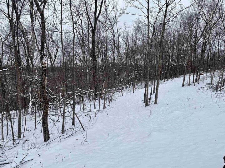Property Photo:  79 Acres, Byers Rd  WI 53805 