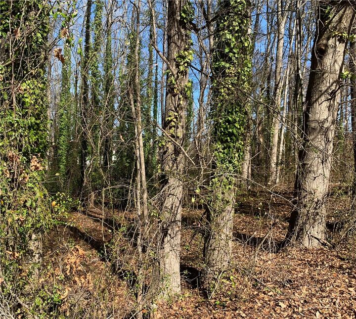 Property Photo:  00 Cox Avenue  SC 29621 