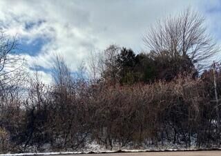 Property Photo:  0 State Route 37  NY 12953 