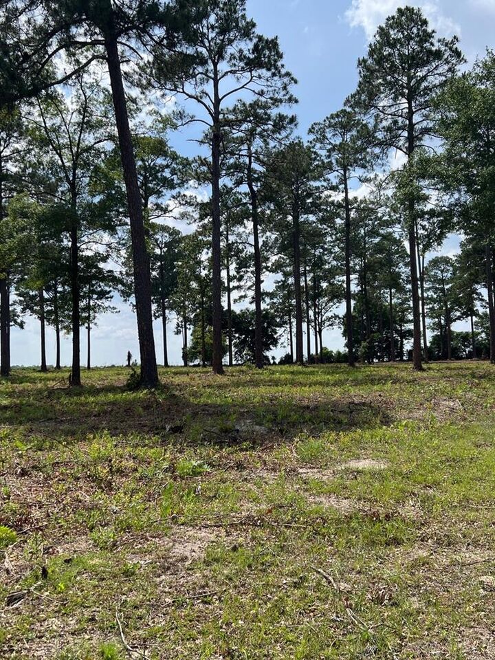 Property Photo:  Lot 27 Woodlake Court  GA 31763 