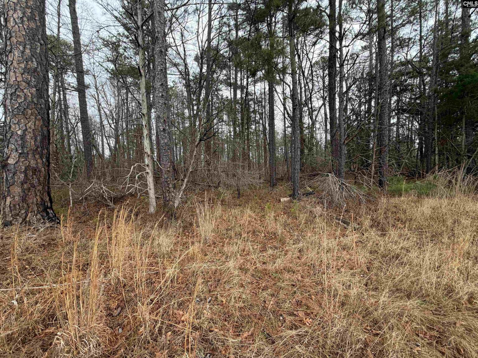 Property Photo: 0 Saint Phillips Chruch SC 29127