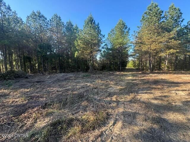 Property Photo:  0 Franks Road  TN 38380 