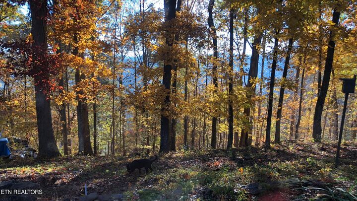 Property Photo: 804 S Shiloh Rd TN 37865