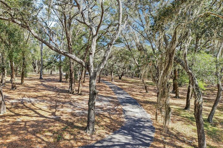 Property Photo:  36530 Lazy B Lane  FL 32736 