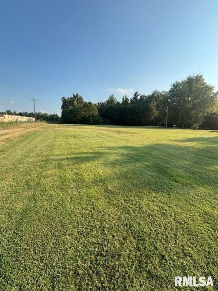 Property Photo:  9485 E E Il Hwy 15 Highway  IL 62864 