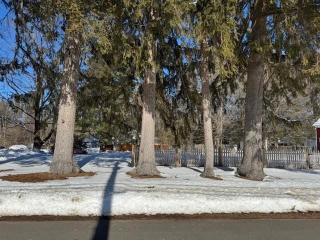 Property Photo:  8 Adams Avenue  NH 03867 