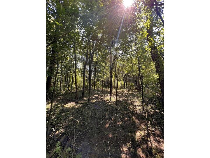 Property Photo: 0 Hemenway Road VT 05753