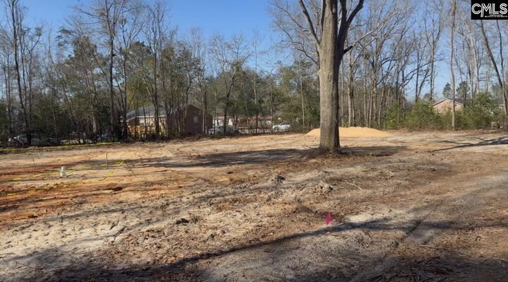 Property Photo: 750 Maple SC 29123