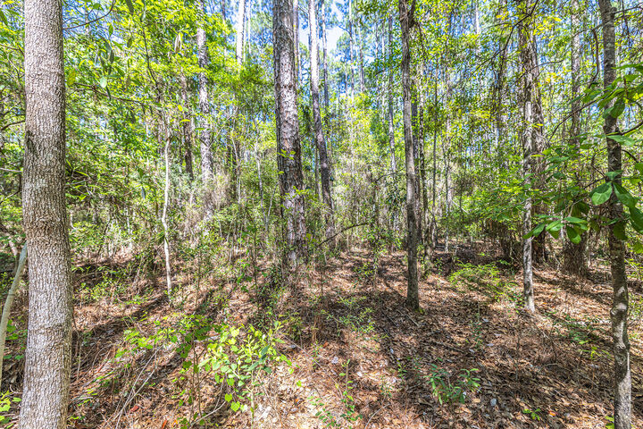 Property Photo: 191 Mallet Road FL 32439