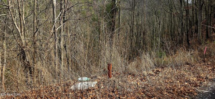 Property Photo: 3278 Emerald Springs Loop TN 37862