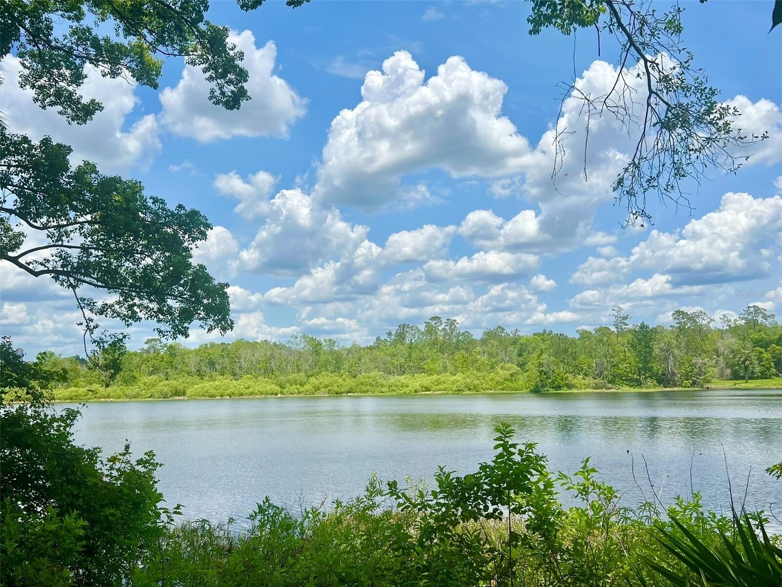 Property Photo:  Vista Street  FL 32744 