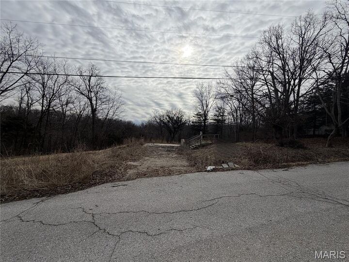 Property Photo: 324 Sirius Road MO 63020