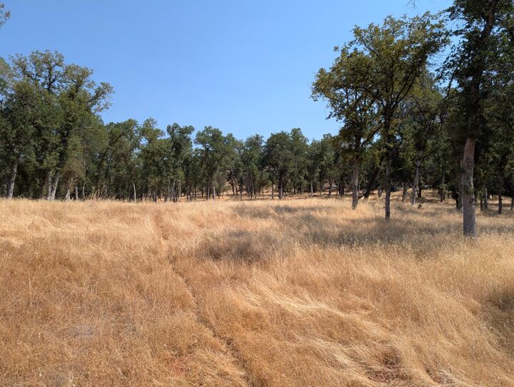 Property Photo: 18340 Henry D. Court CA 95270