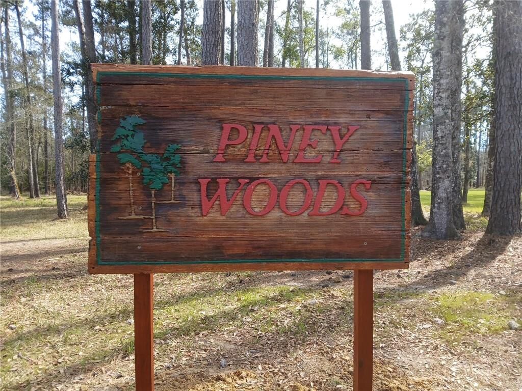Property Photo:  Piney Woods Lane  LA 70433 
