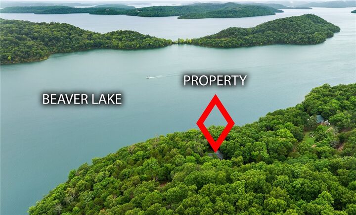 Property Photo: 965 County Road 156 AR 72632