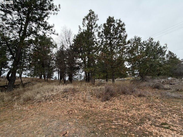 Property Photo:  210 Pine St  WA 99356 