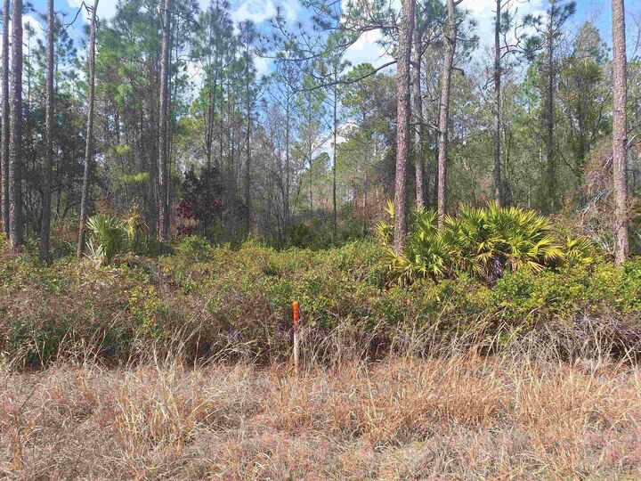 Property Photo: 1758 S State Rd 19 FL 32177