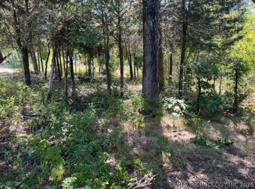 Property Photo:  Cherokee Trail  OK 74425 