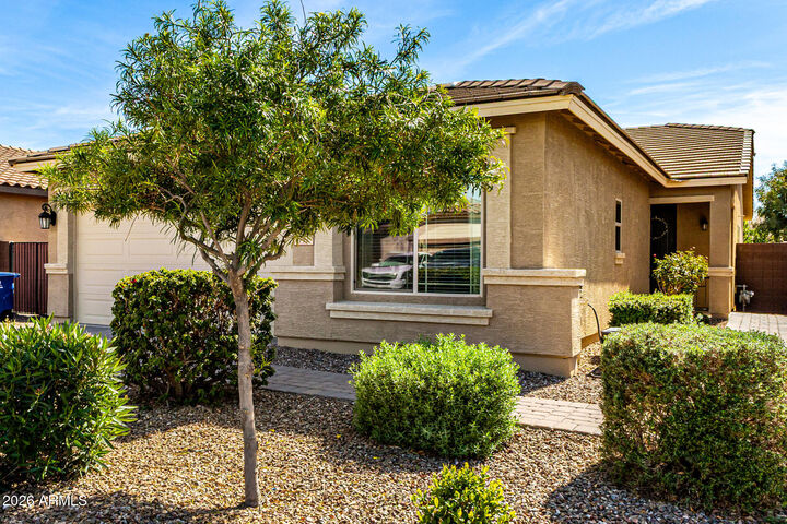 Property Photo: 797 W Banyan Avenue AZ 85140