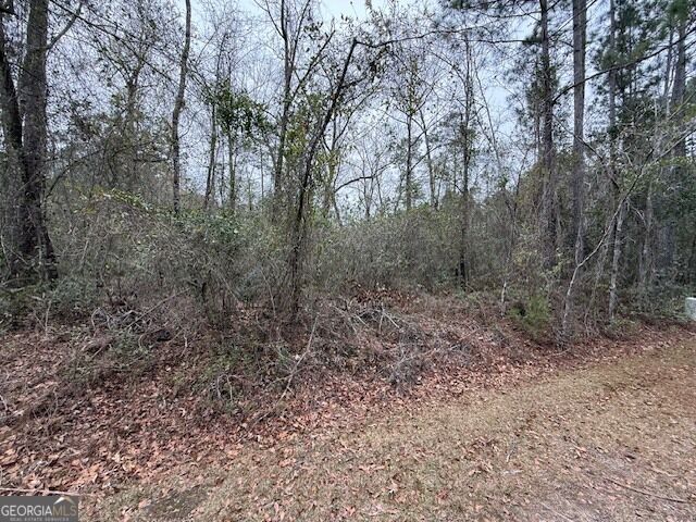 Property Photo: V/L 104 Satilla River Landing GA 31569