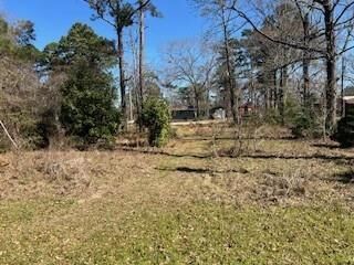 Property Photo:  171 Cherry Tree  TX 77351 