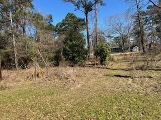 Property Photo: 171 Cherry Tree TX 77351