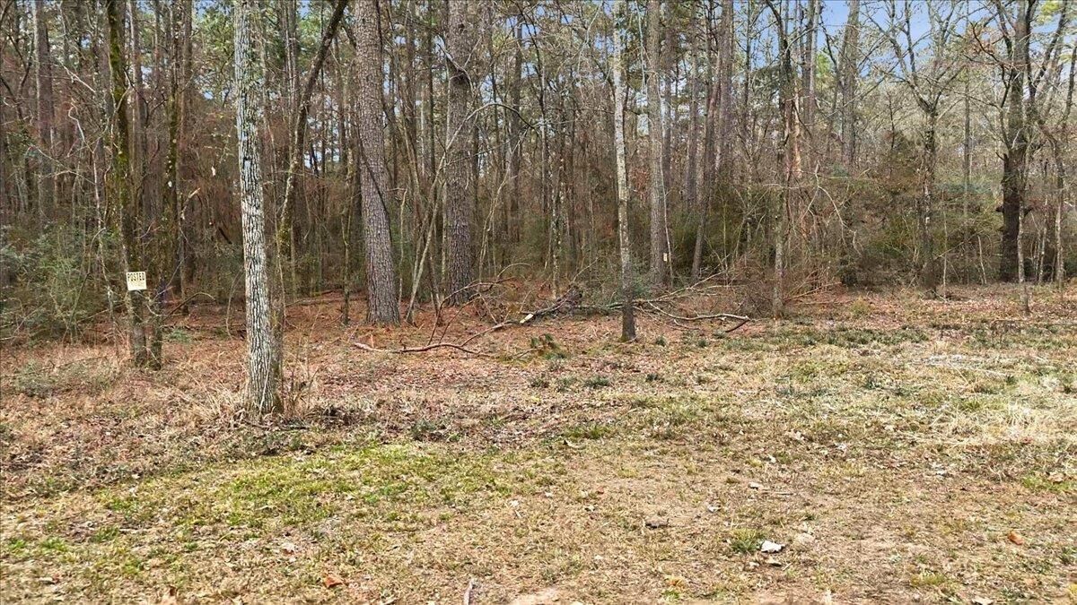 Property Photo:  12174 S Cr 3153  TX 75681 