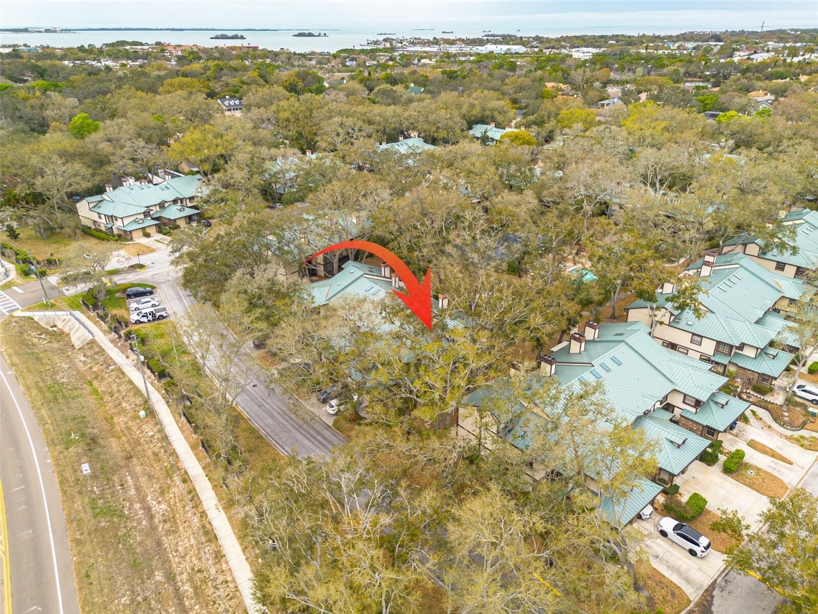 Property Photo: 1484 Buckeye Lane FL 34683