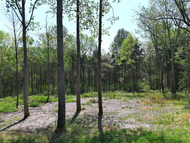 Property Photo: 0 Bedford Lake Rd TN 37160
