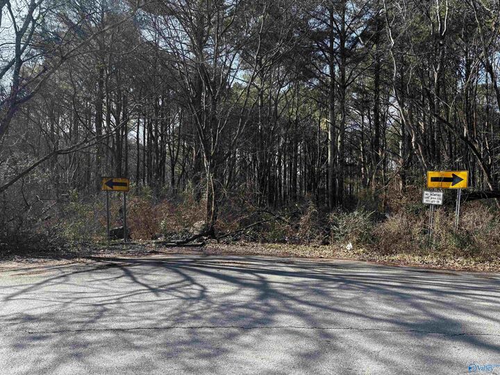 Property Photo:  Pin 35708 Tee Jay Drive  AL 35810 