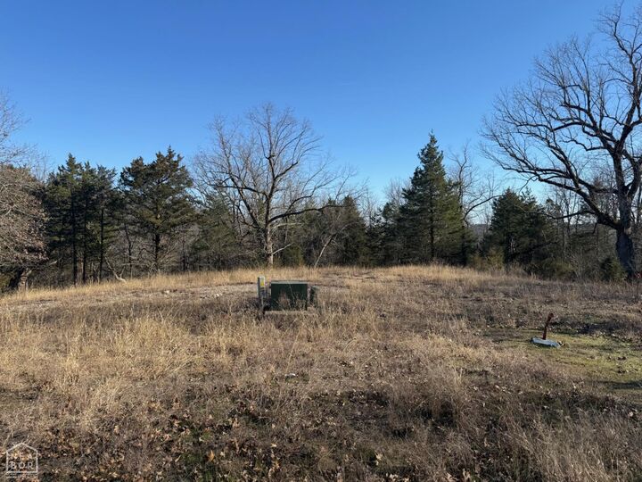 Property Photo:  1516 Panther Cove Drive  AR 72653 